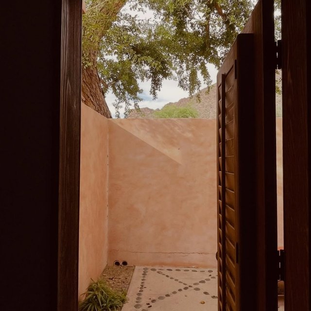 Instagram Image