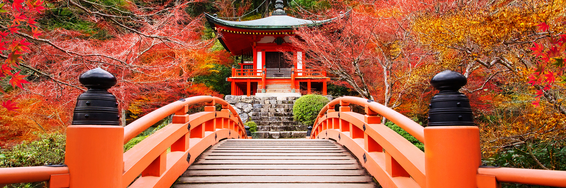 World-of-Hyatt-P221-Kyoto-Daigoji-Temple-Autumn